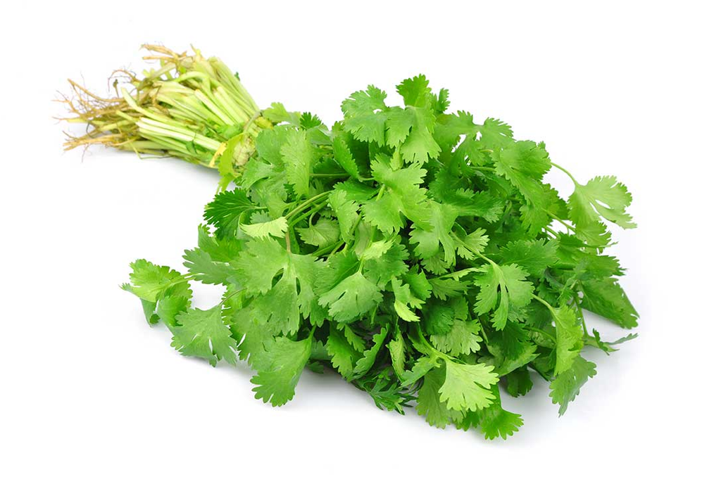 Cilantro 200g